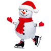 Schneeman