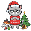 Grim Christmas cat refuses Santa
