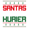 Christmas SANTA'S BEST COURIER Funny