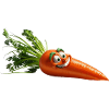 carrot