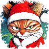 Christmas cat