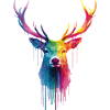 Deer Deer Antlers