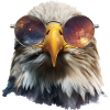 Eagle Glasses Space