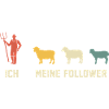 Me and My Followers Sheep
