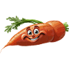 carrot