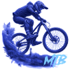 MTB Bike