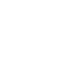 Dinosaur Triceratops Head Fossil Bone