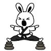 Zen Rabbit Kata on Stones