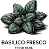 Basilico Fresco – Basil