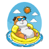 Hamster Swimming Swimming Ring Summer