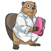 Beaver Secretary Folder Office