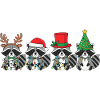 Raccoon Santa Claus Christmas Lights