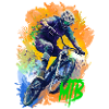MTB bike