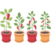 Funny Chili Gardener Gardener Gift