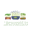 Microgreens Growing System Gartenset Spross