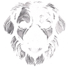Hund