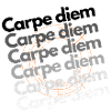 carpe diem