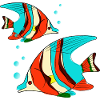 Poissons aux couleurs vives