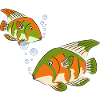Bunte Fische