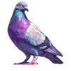 Pigeons Pigeon
