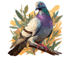 Pigeons Pigeon