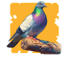 Pigeons Pigeon