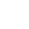 Dad doesn't drive fast