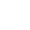 Snowflake Winter Icon