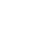 Game Day Football Fan