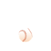 Game Day Baseball Fan