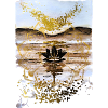 Golden Lotus on Desert Dusk
