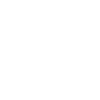 Game Day Basketball Fan
