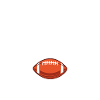Game Day Football Fan