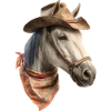 Perd Cowboy