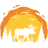 Moose silhouette in sunset forest