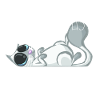 Je peux pas j'ai chat gris