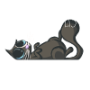 Je peux pas j'ai chat noir