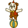 Circus Bulldog Balancing Proudly on Ball