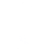Skier