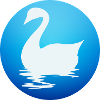 Elegant swan silhouette on blue water