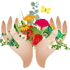 Two protective hands holding many flowers