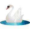 Shimmering swan with raised wings