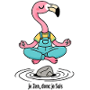 Flamingo Levitating Zen Yoga