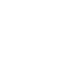 Calm Over Chaos Wolf