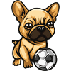 French Bulldog Football