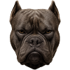 Powerful bulldog head