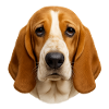 Beagle Portrait: Warm Fur Design