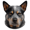 Grey-haired dog portrait
