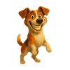 Jack Russell Terrier grinning