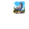 Pigeons Pigeon